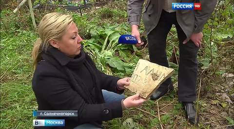 На Солнечногорском кладбище разорены десятки могил