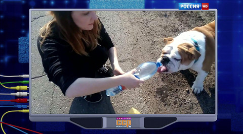 Эфир от 25.10.2015