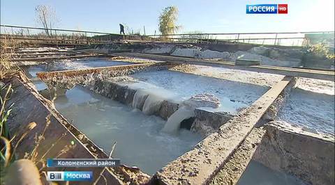 Молочные реки, зловонные берега: подмосковная Зарудня задыхается
