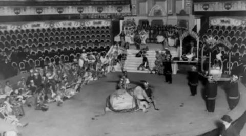 23 - 30 октября 1915 года, 65-я неделя войны