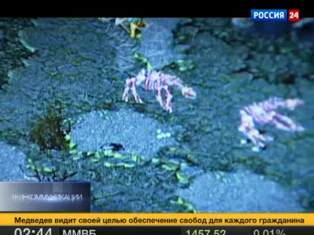 Эфир от 25.04.2012