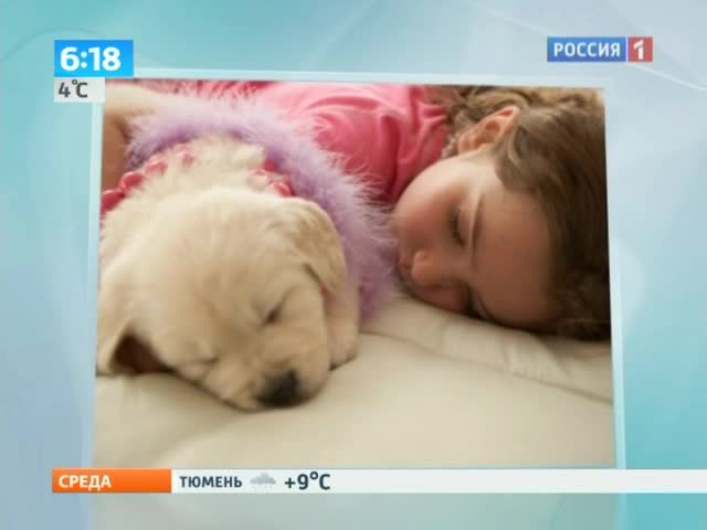 Куклы детям не игрушка