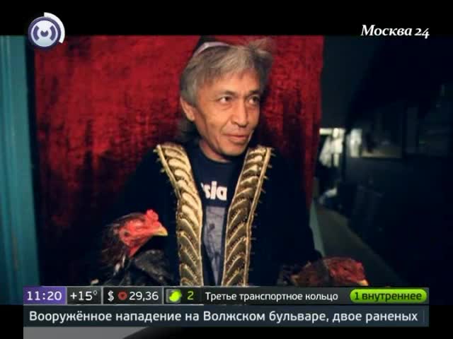 Самые смелые и азартные животные