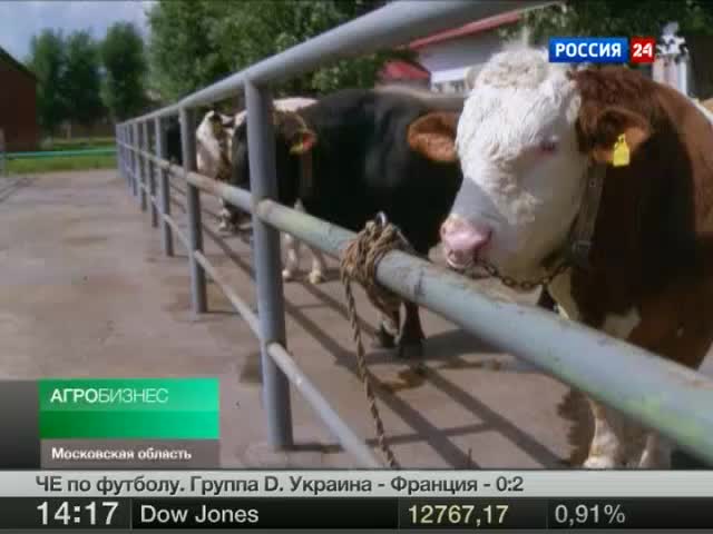 Эфир от 16.06.2012