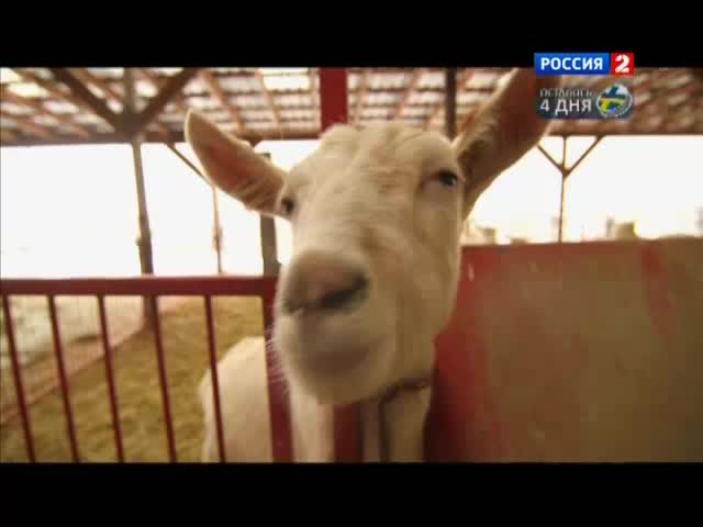 Транспортировка генов