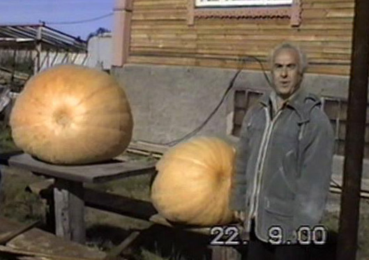 Эфир от 14.10.2012