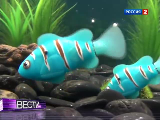 <b>Вести.Ru на телеканале "Россия 2", 14 ноября 2012 года</b>