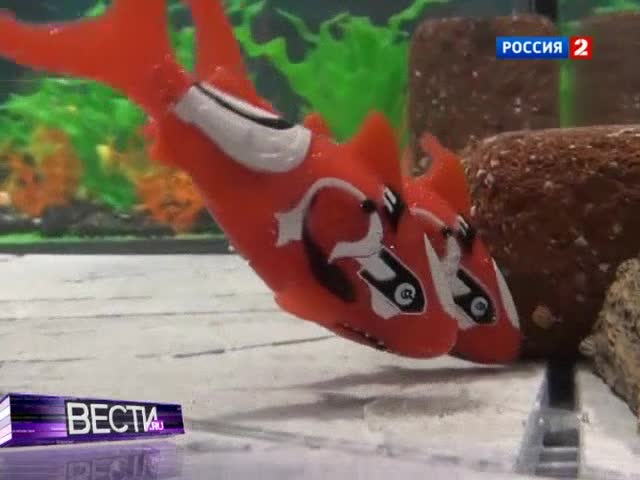 Электронные чернила, книга на майке и рыбки-драчуны 
