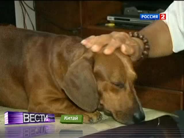Эфир от 19.11.2012