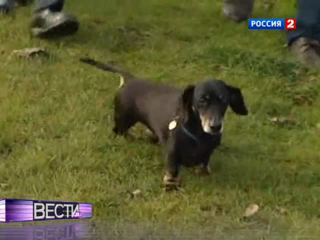 Британские ученые научились лечить паралич
