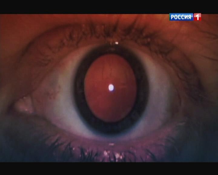 Жизнь после смерти