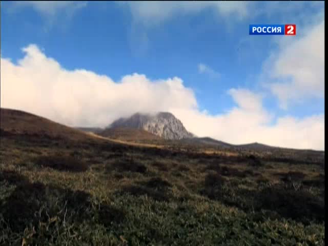 Эфир от 11.12.2012