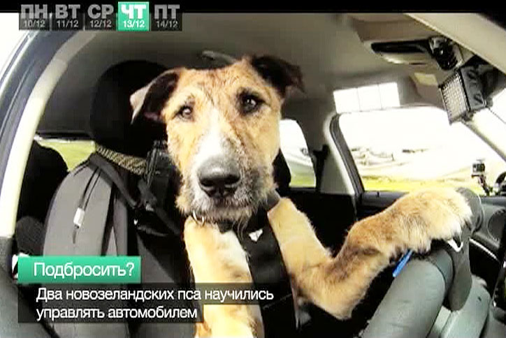 Эфир от 15.12.2012
