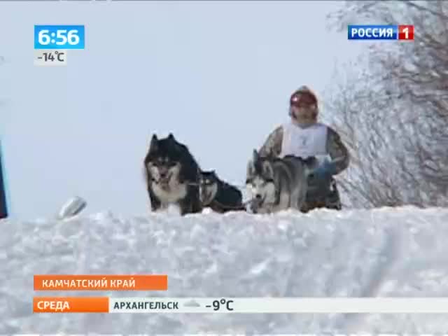 Четыре лапы и хвост - замена снегоходу