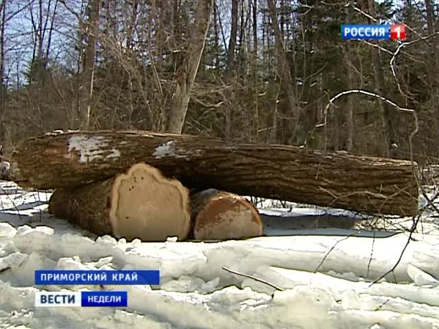 Эфир от 14.04.2013