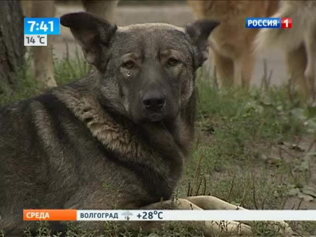 Эфир от 22.05.2013