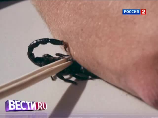 Космический видеоклип по-русски, укус скорпиона и интернет-осязание