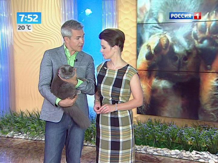 Эфир от 04.07.2013
