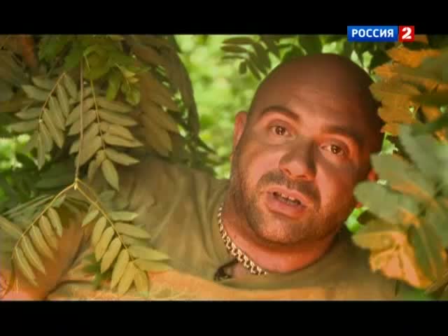 Могло быть хуже. С ног на голову