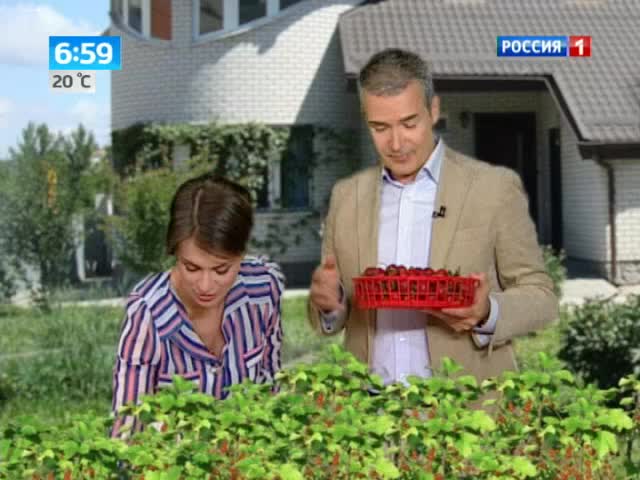 Эфир от 05.07.2013