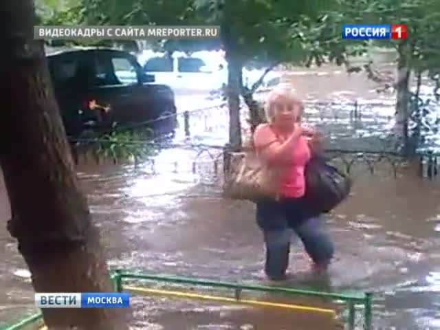 Непогода наломала дров в Москве