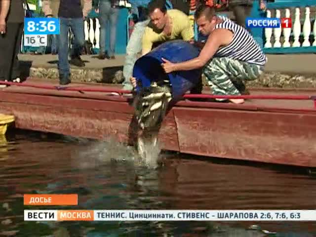 Белый амур поселится в столичных водоемах