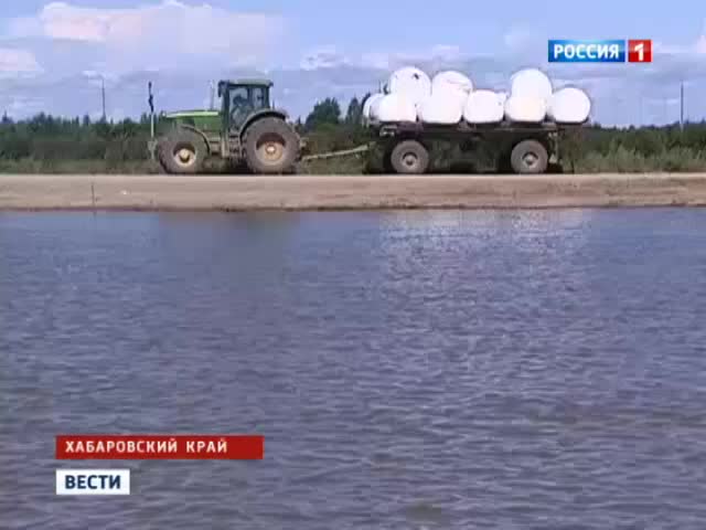 Амур наступает: на Дальнем Востоке ждут пика наводнения 