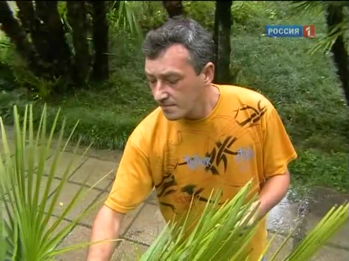 Любитель экзотики