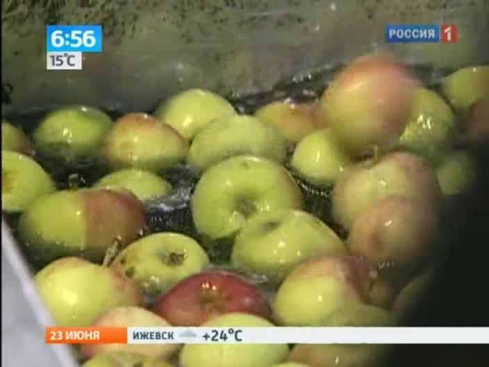 Утро России. Овощи или фрукты