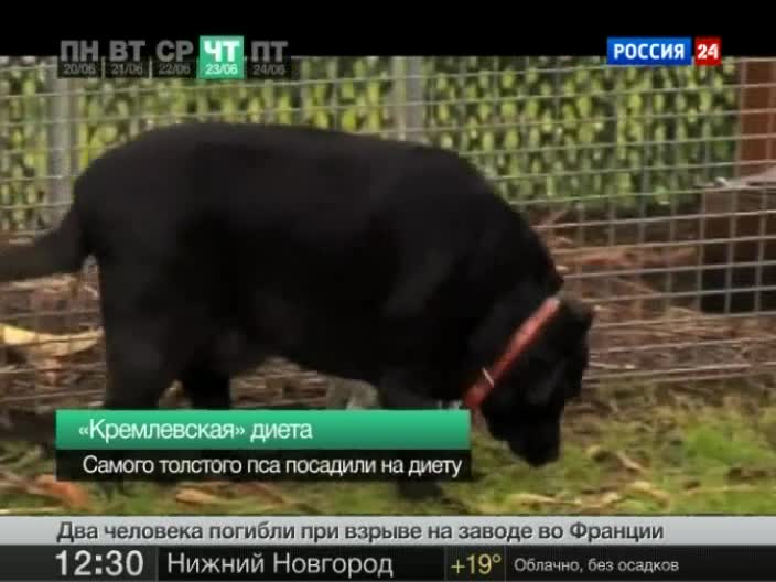 Эфир от 25.06.2011