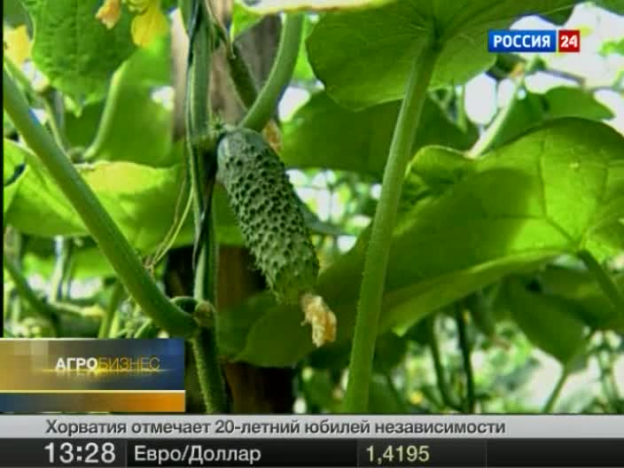 Эфир от 25.06.2011