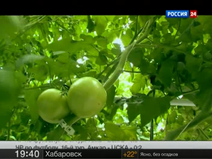 Наука 2.0. Биоинженерия