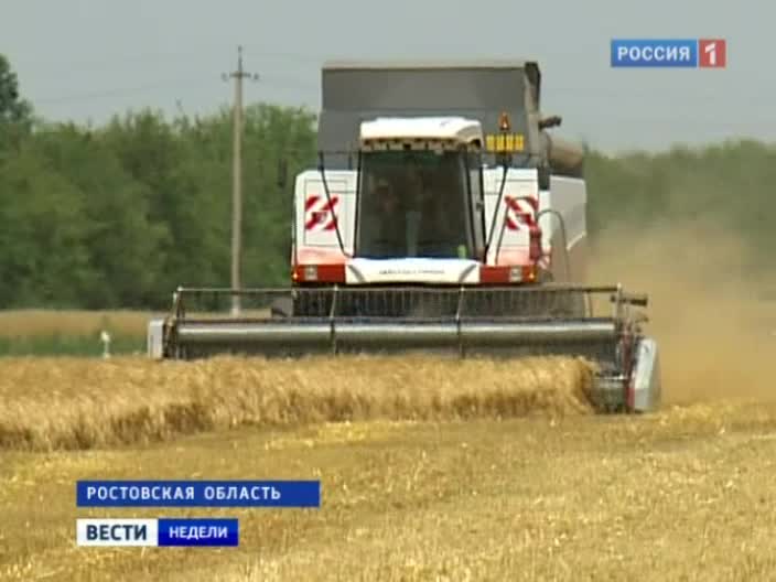 Какой будет программа Народного фронта?