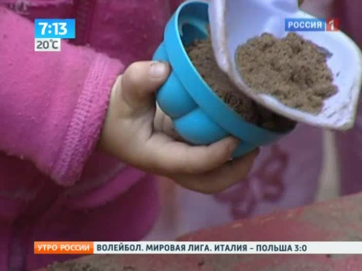Осторожно! Паразиты в детской песочнице