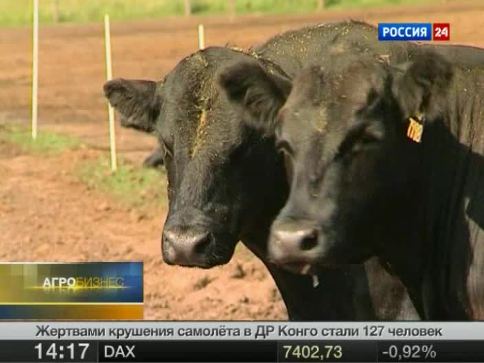Эфир от 09.07.2011