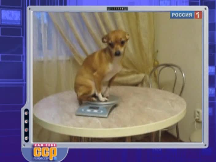 Эфир от 10.07.2011