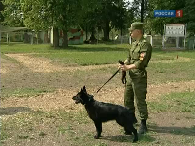 "Военная программа" А.Сладкова. 12.11.2011