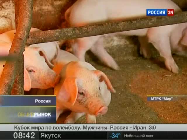 Эфир от 03.12.2011