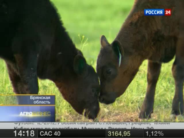 Эфир от 03.12.2011