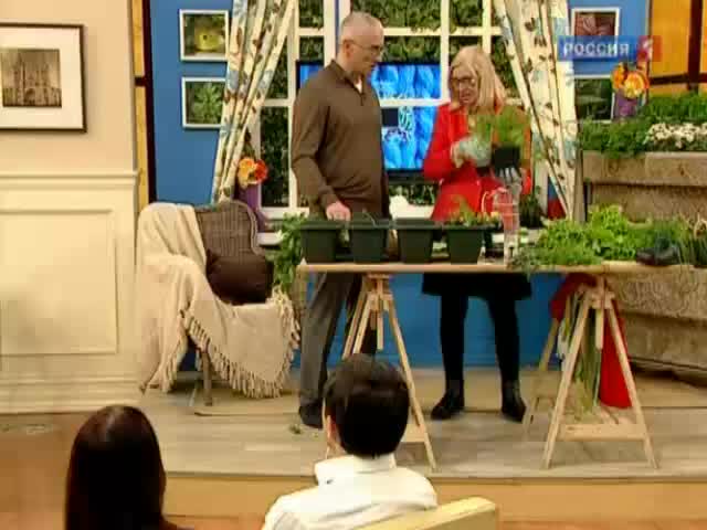 Эфир от 04.12.2011