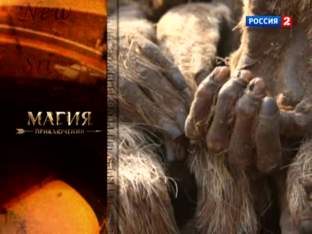 "Магия приключений". Вуду