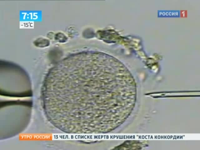 Для зачатия понадобятся трое