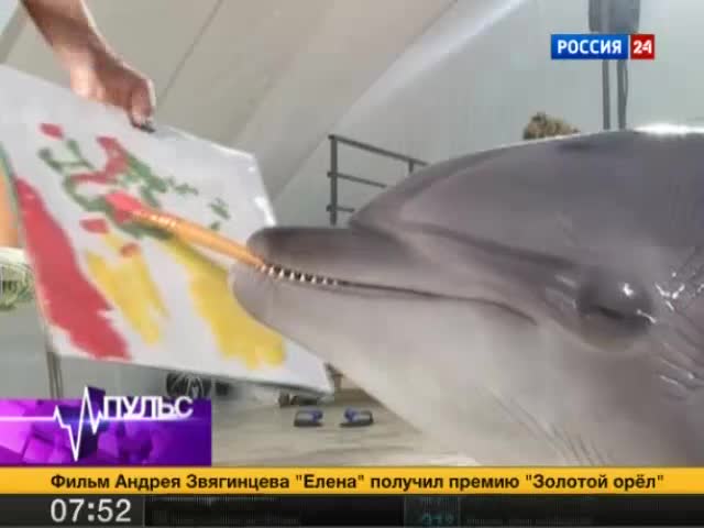 "Вести. Пульс" от 28 января 2012 года