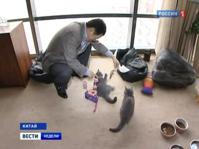 Вести недели. Эпизод: Новые китайцы