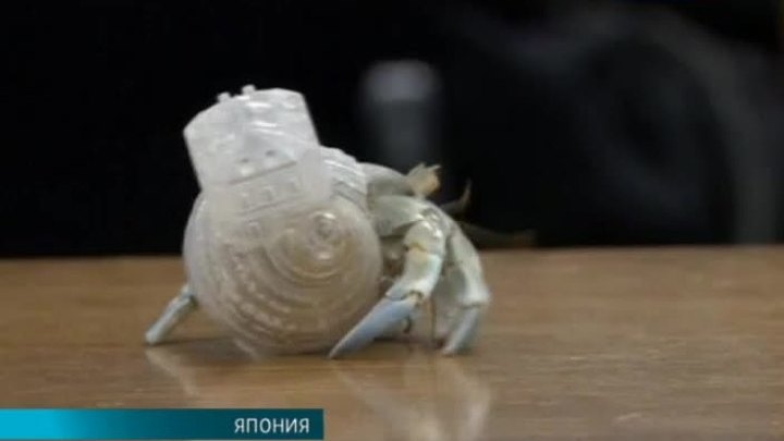 Эфир от 09.12.2015 (23:30)