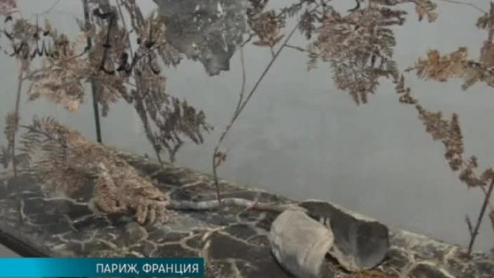  Эфир от 17.12.2015 (10:00)