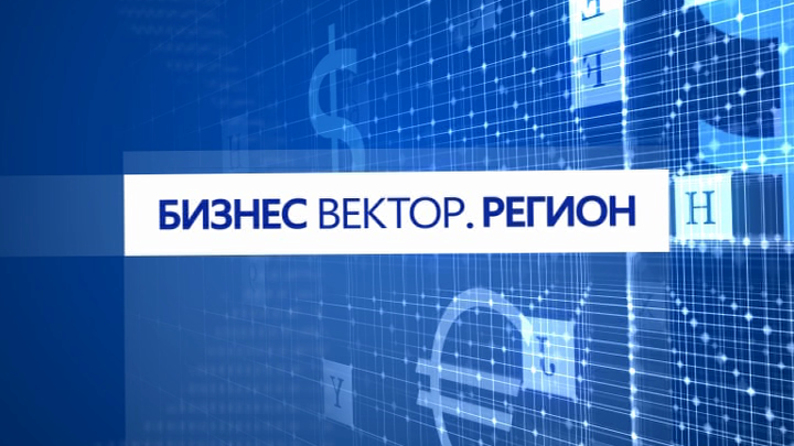 БизнесВектор. Регион 65