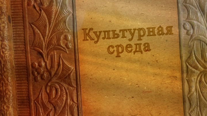 Культурная среда 88 (Виртуозы и Куклы)
