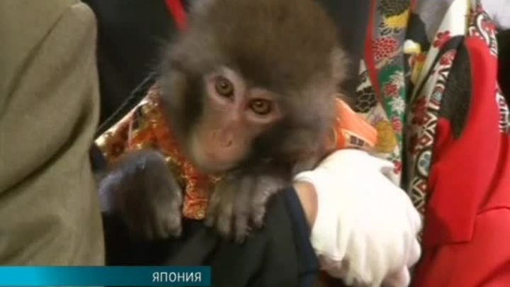 Эфир от 30.12.2015 (19:30)