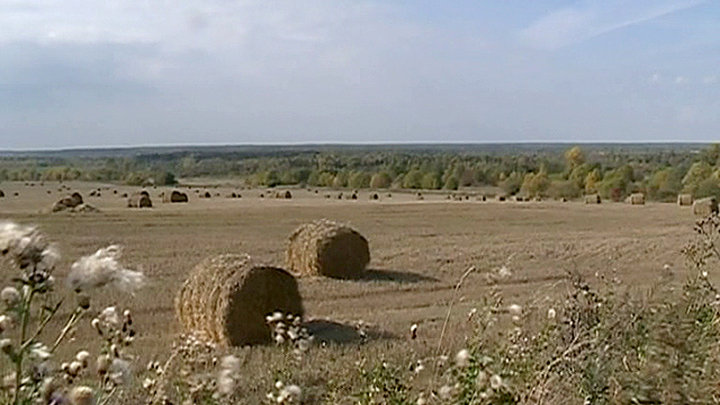Село Куркино (Вологодская область)